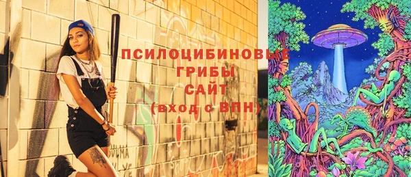ешки Михайловск