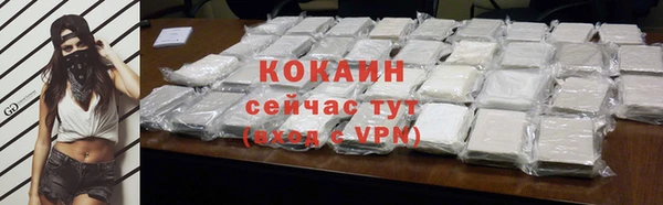шишки Михайлов