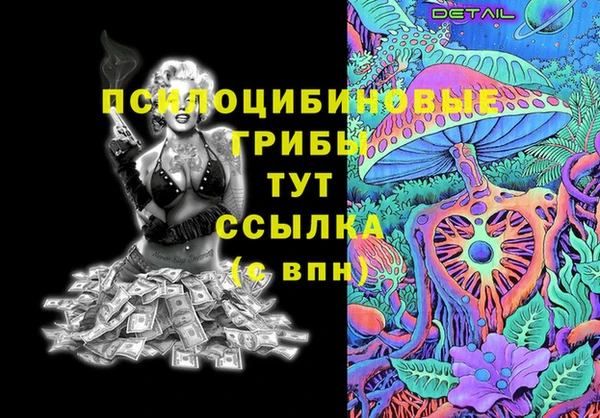 спиды Мегион
