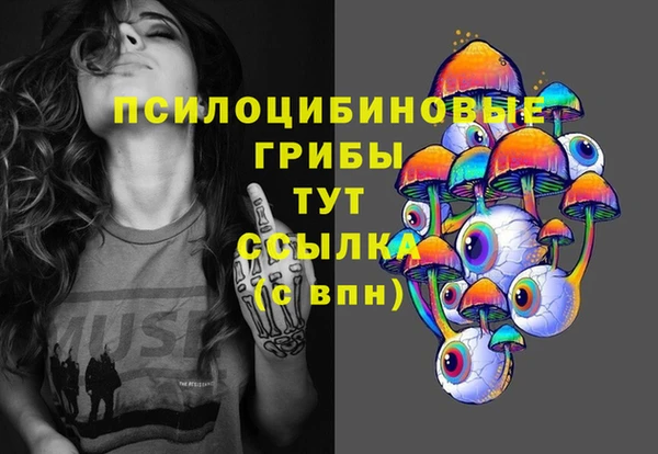 spice Медногорск