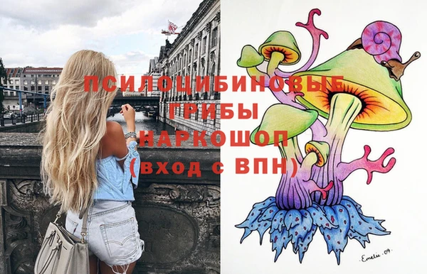шишки Михайлов